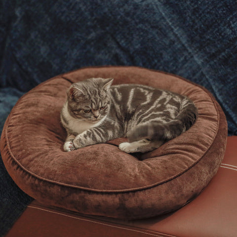 Thickened Futon Pet Cushion For Meditation